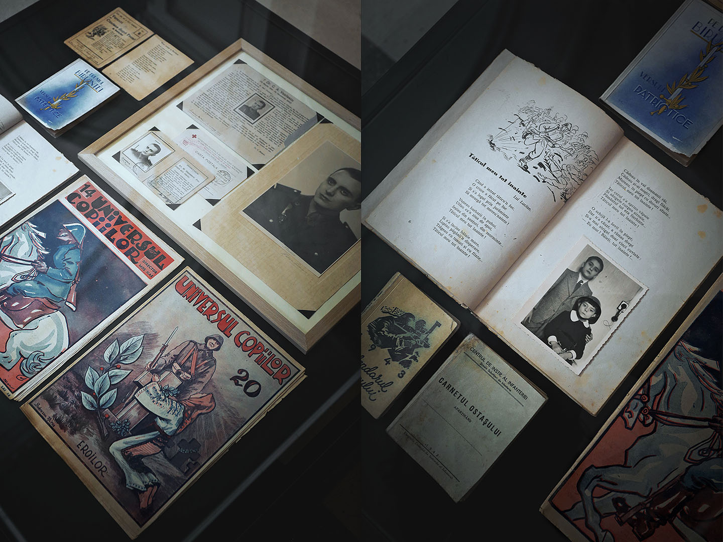 repWARtaje @ Muzeul National de Istorie
