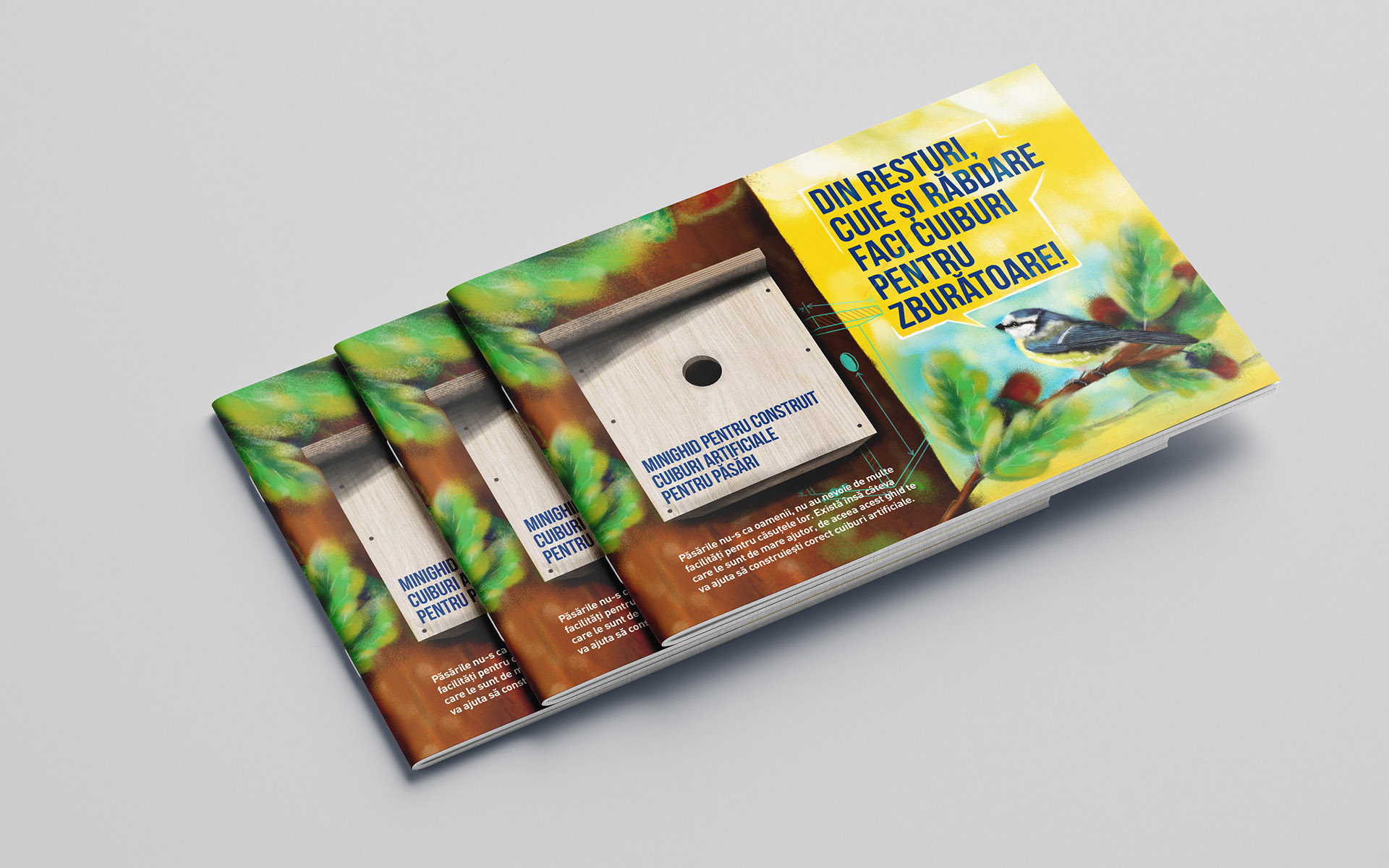 Romanian Ornithological Society - DIY birds nest book & special project