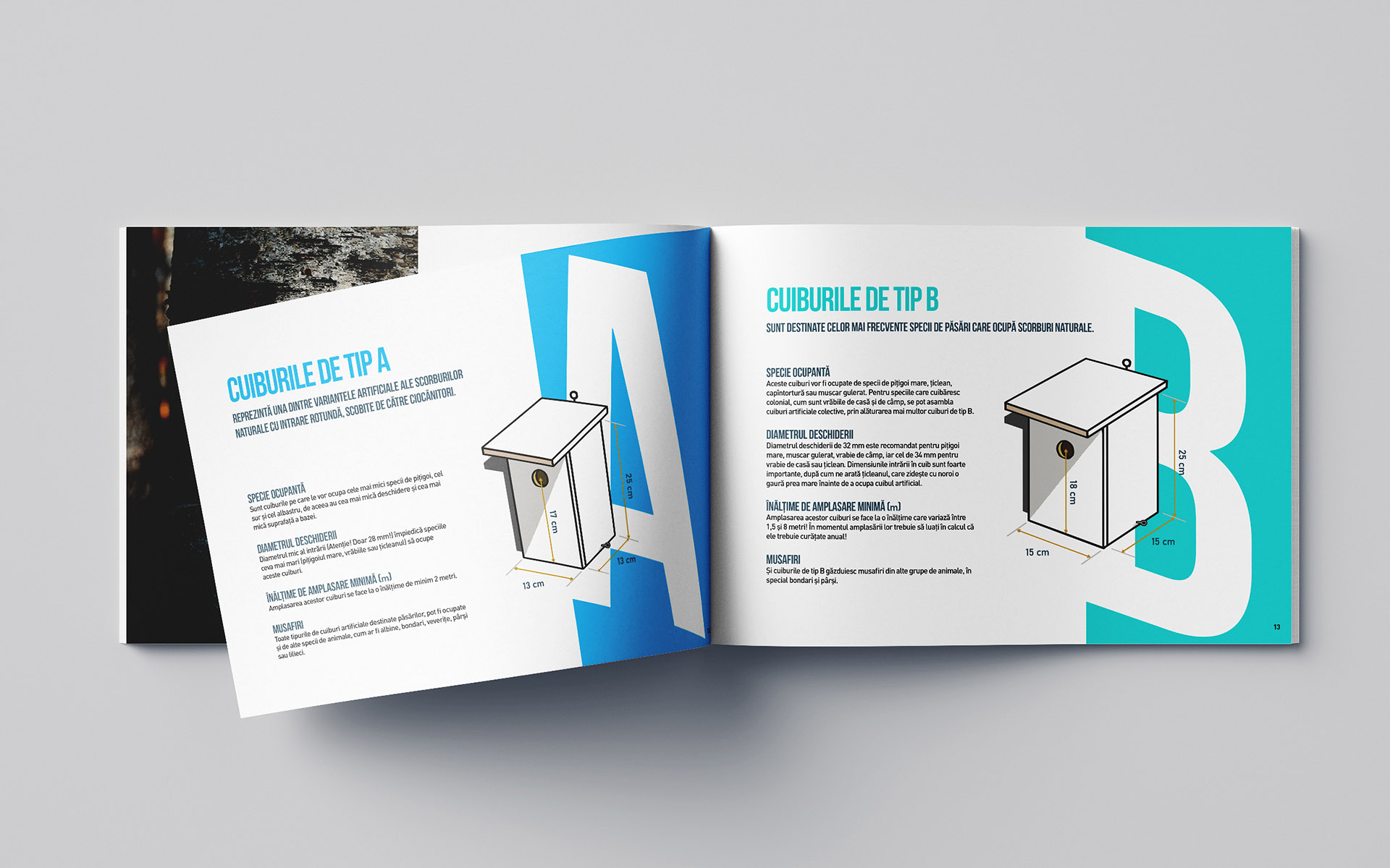 Romanian Ornithological Society - DIY birds nest book & special project
