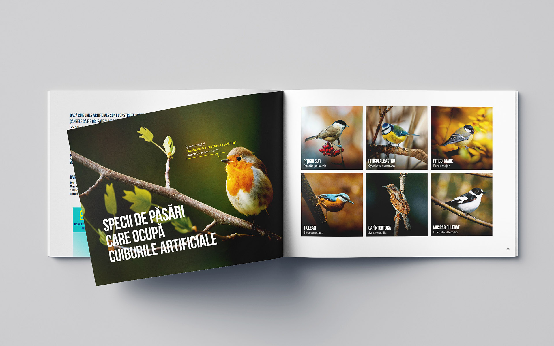 Romanian Ornithological Society - DIY birds nest book & special project